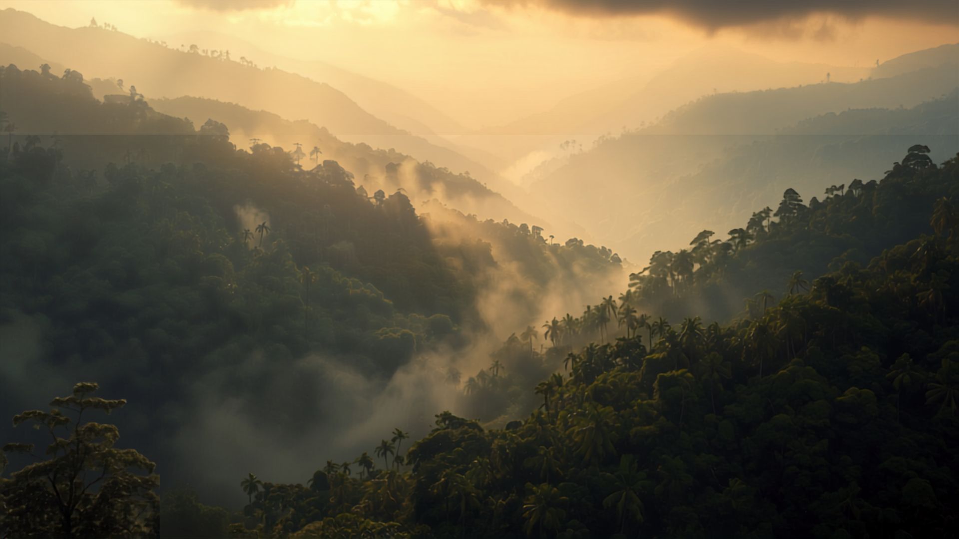 De Pozuzo a Oxapampa: la huella austro-germana en la cultura cafetera de la selva central